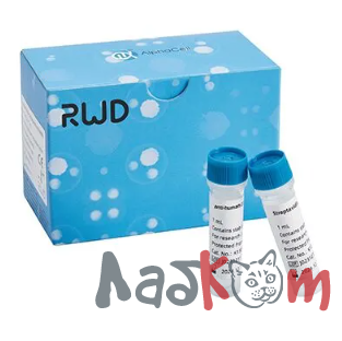 Набор для выделения CD45+ клеток человека (RUO)