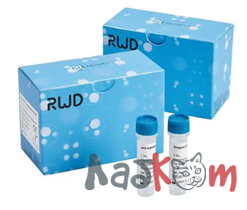Набор для выделения CD19+ клеток человека (RUO)