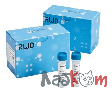 Набор для выделения CD4+ клеток человека (RUO)