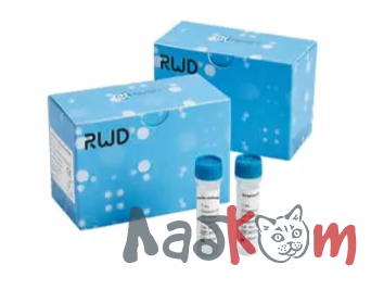 Нанометрические гранулы стрептавидина (RUO)