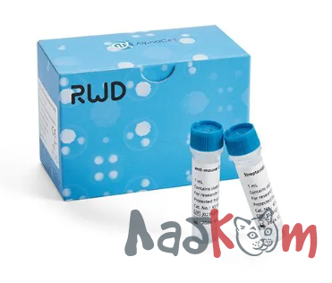 Набор для выделения клеток CD11b+ (микроглия)
