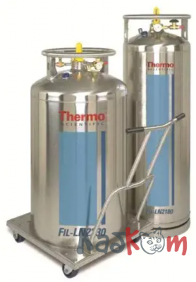 Криохранилище Thermo 10
